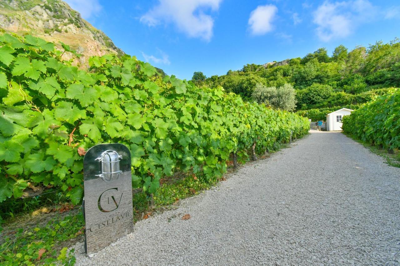 Tenuta C'Est La Vie Forio  ภายนอก รูปภาพ