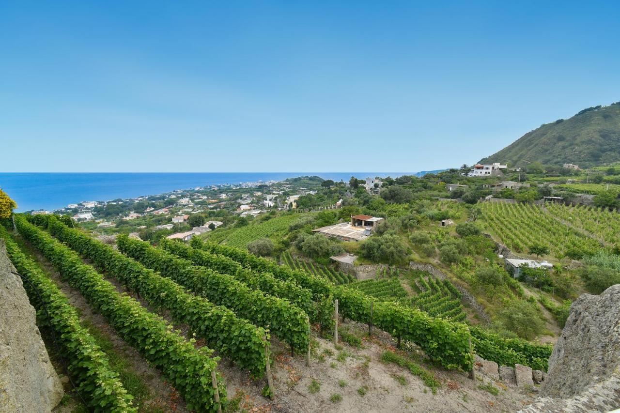 Tenuta C'Est La Vie Forio  ภายนอก รูปภาพ